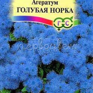 Агератум Голубая норка* 0,1 г серия Сад ароматов