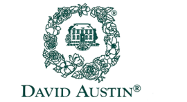Первоцвет - официальный продавец роз Дэвида Остина!
