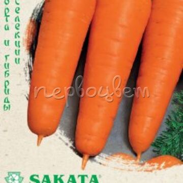 Морковь Курода Шантанэ 1,0 г (Саката) Н14