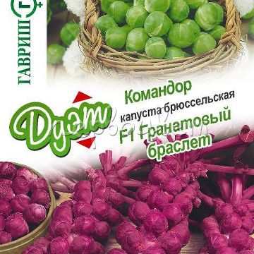 Капуста брюссел. Гранатовый браслет F1 0,1 г+Командор 0,1 г серия Дуэт Н20