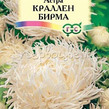 Астра Краллен Бирма кремово-белая 0,3 г, коготковая