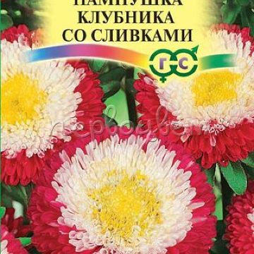 Астра Пампушка клубника со сливками 0,3 г Н12