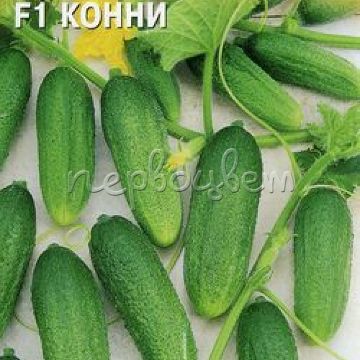 Огурец Конни F1 0,3 г